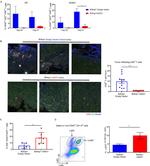 CD4 Antibody in Flow Cytometry (Flow)