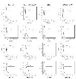 CD80 (B7-1) Antibody in Flow Cytometry (Flow)