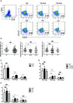 CD25 Antibody in Flow Cytometry (Flow)