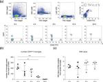 CD11b Antibody in Flow Cytometry (Flow)