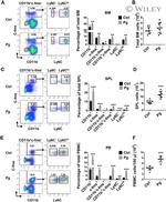 CD11b Antibody in Flow Cytometry (Flow)