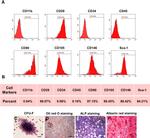 CD11b Antibody in Flow Cytometry (Flow)