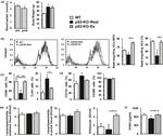 CD11b Antibody in Flow Cytometry (Flow)