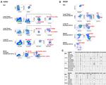 CD11c Antibody in Flow Cytometry (Flow)