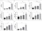 CD19 Antibody in Flow Cytometry (Flow)