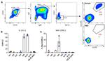 CD27 Antibody in Flow Cytometry (Flow)