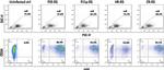 CD34 Antibody in Flow Cytometry (Flow)