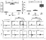 CD41a Antibody in Flow Cytometry (Flow)