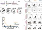 CD49d (Integrin alpha 4) Antibody in Flow Cytometry (Flow)