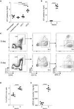 CD45 Antibody in Flow Cytometry (Flow)