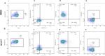 CD45 Antibody in Flow Cytometry (Flow)