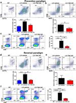 CD86 (B7-2) Antibody in Flow Cytometry (Flow)