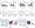 CD71 (Transferrin Receptor) Antibody in Flow Cytometry (Flow)