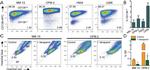 CD138 (Syndecan-1) Antibody in Flow Cytometry (Flow)