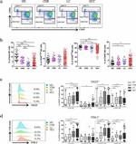 TIGIT Antibody in Flow Cytometry (Flow)