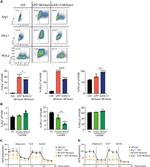 Arginase 1 Antibody in Flow Cytometry (Flow)