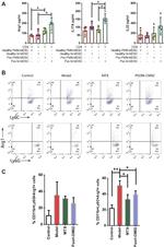 Arginase 1 Antibody in Flow Cytometry (Flow)