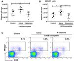 CD314 (NKG2D) Antibody in Flow Cytometry (Flow)