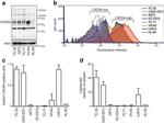 CD184 (CXCR4) Antibody in Flow Cytometry (Flow)