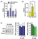 IREB2 Antibody in Western Blot (WB)