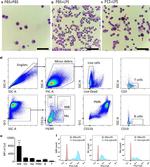 CD11b Antibody in Flow Cytometry (Flow)