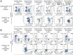 CD8 Antibody in Flow Cytometry (Flow)