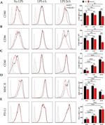 Rabbit IgG (H+L) Highly Cross-Adsorbed Secondary Antibody in Flow Cytometry (Flow)