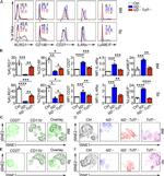 KLRG1 Antibody in Flow Cytometry (Flow)