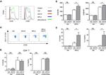 CD3 Antibody in Flow Cytometry (Flow)