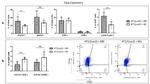 FOXP3 Antibody in Flow Cytometry (Flow)