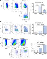 CD3 Antibody in Flow Cytometry (Flow)