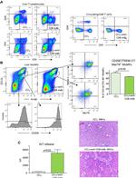 CD4 Antibody in Flow Cytometry (Flow)