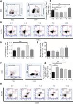 CD4 Antibody in Flow Cytometry (Flow)