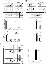 CD4 Antibody in Flow Cytometry (Flow)