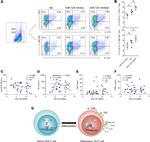 IL-17A Antibody in Flow Cytometry (Flow)