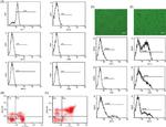 CD11c Antibody in Flow Cytometry (Flow)