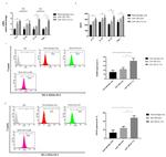 CD16 Antibody in Flow Cytometry (Flow)