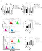 CD16 Antibody in Flow Cytometry (Flow)