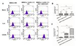 CD206 (MMR) Antibody in Flow Cytometry (Flow)