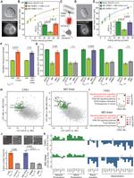 Nanog Antibody in Flow Cytometry (Flow)