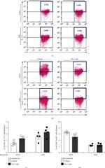 FOXP3 Antibody in Flow Cytometry (Flow)