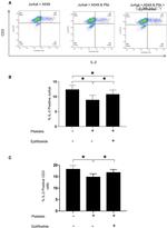 IL-2 Antibody in Flow Cytometry (Flow)