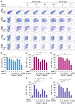 IFN gamma Antibody in Flow Cytometry (Flow)