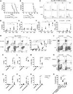 TIGIT Antibody in Flow Cytometry (Flow)