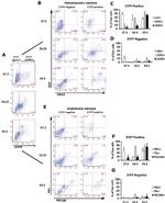 CD117 (c-Kit) Antibody in Flow Cytometry (Flow)