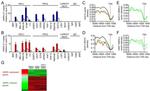 RbAp46/RbAp48 Antibody in Immunoprecipitation (IP)