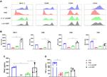 CD86 (B7-2) Antibody in Flow Cytometry (Flow)