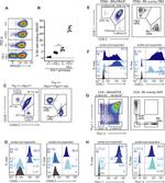 CD90.1 (Thy-1.1) Antibody in Flow Cytometry (Flow)