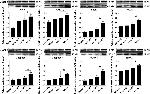 TNF alpha Antibody in Western Blot (WB)