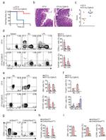 CD45.1 Antibody in Flow Cytometry (Flow)